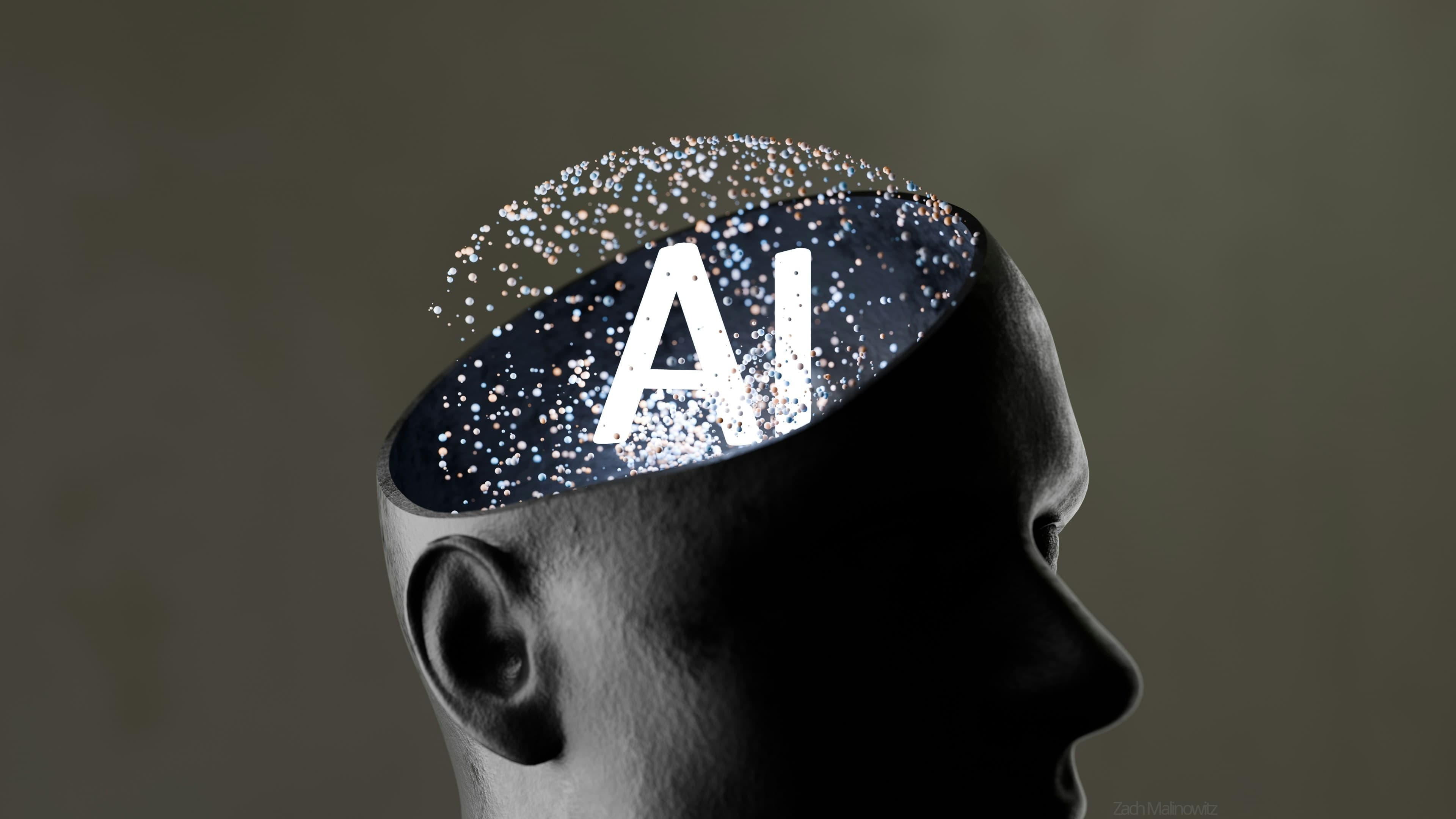 עבודת אתרים של BrainsLead